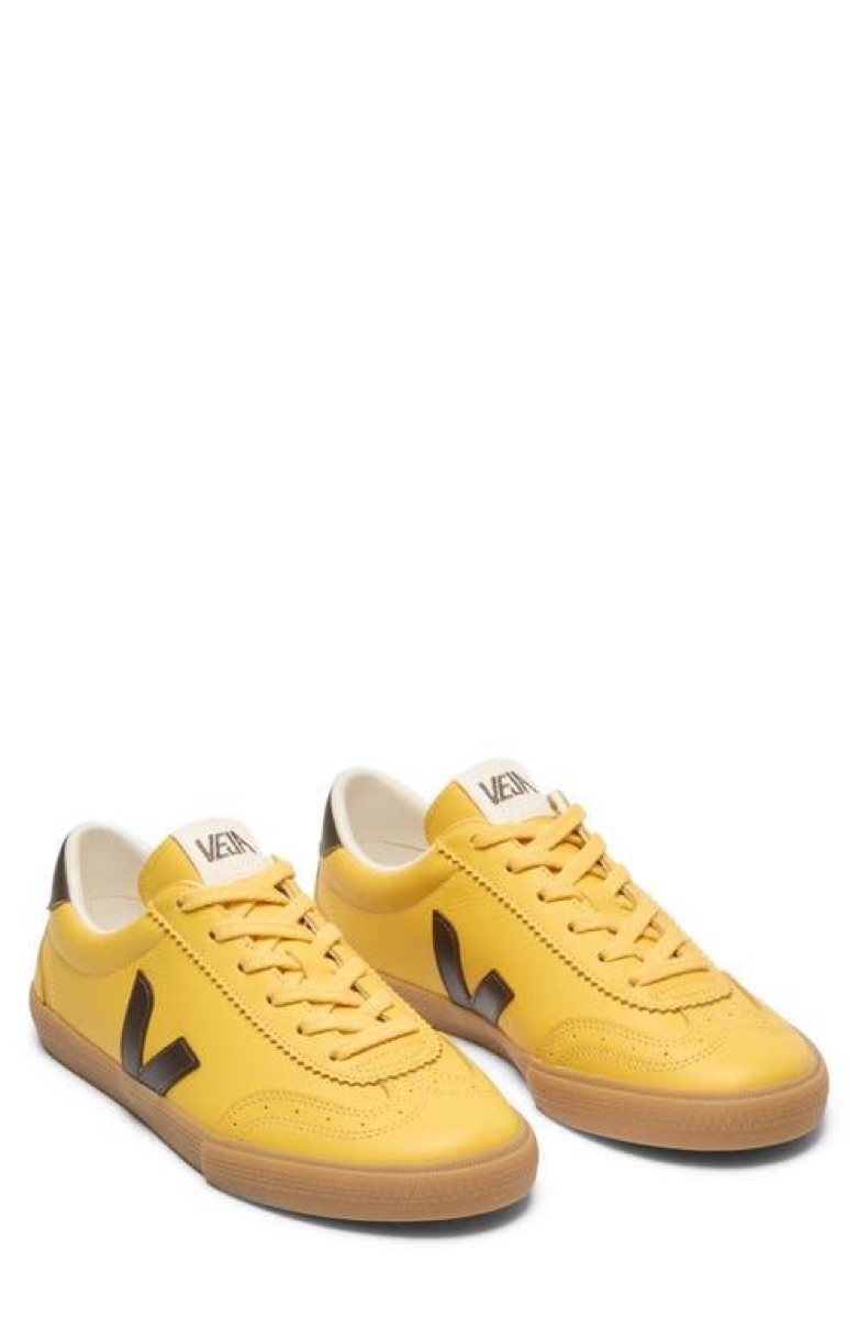 Veja Volley — Canvas Natural / Eagle — Veja Volley Organic Cotton
